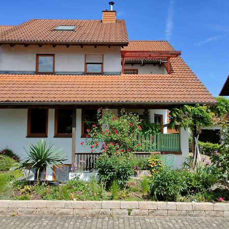 Soutterain - Wohnung Mit Senkgarten Weingarten  外观 照片